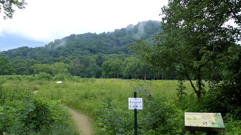 Wildflower Prairie Perrot State Park
