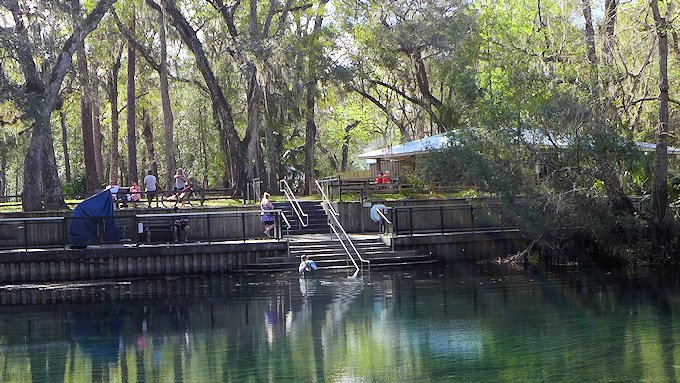 manatee springs state park
