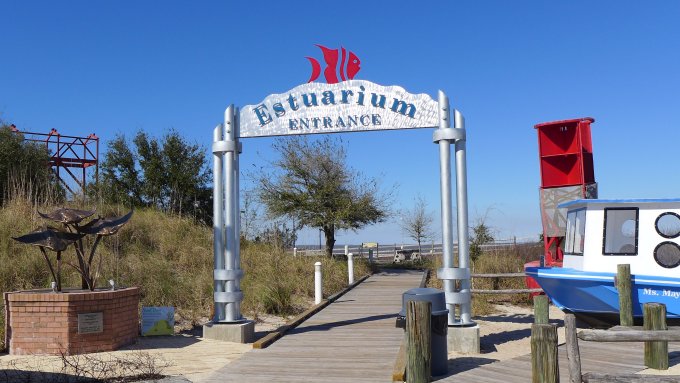 Dauphin Island Estuarium
